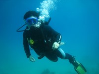 Дайвинг Дайвинг