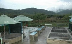 Минеральные источники Минеральные источники