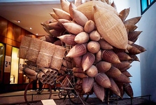 Музей Музей